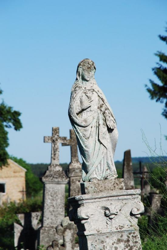Сасів з panoramio.com - Сасов