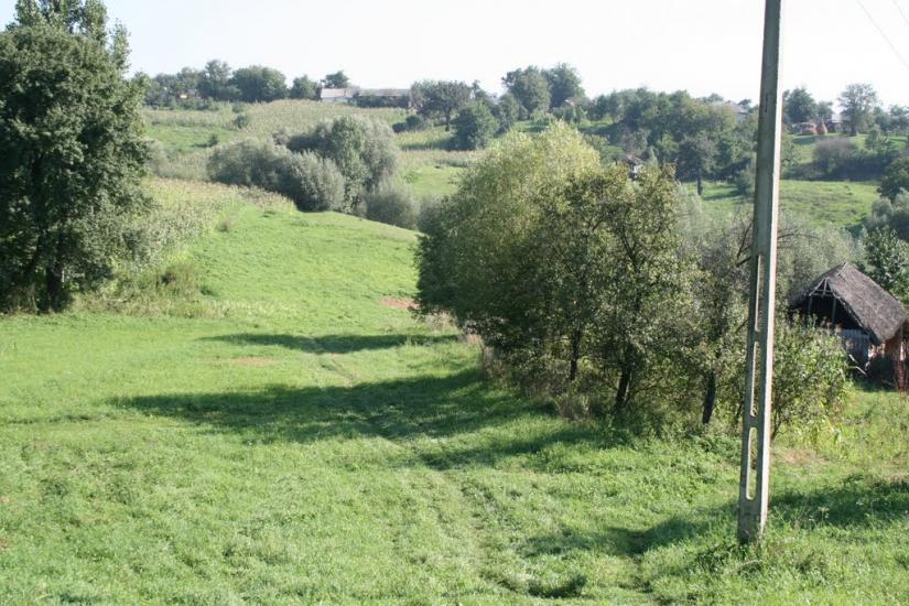Тарасівці з panoramio.com - Тарасовцы