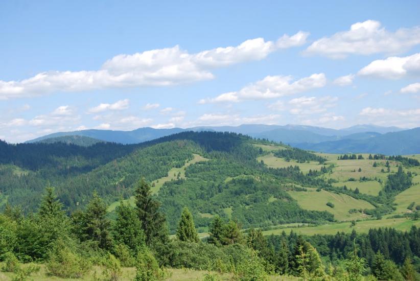 Річка з panoramio.com - Річка