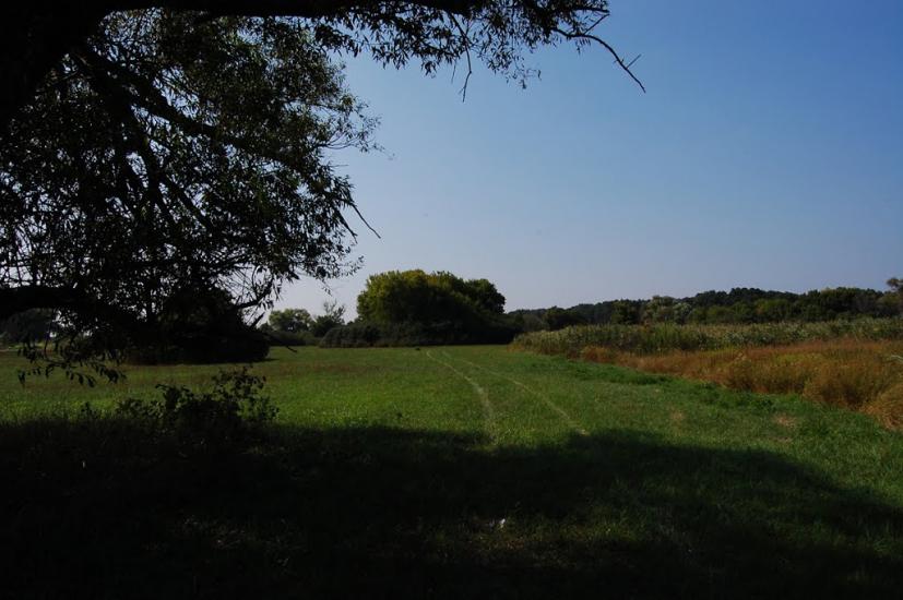 Коробочкине з panoramio.com - Коробочкине