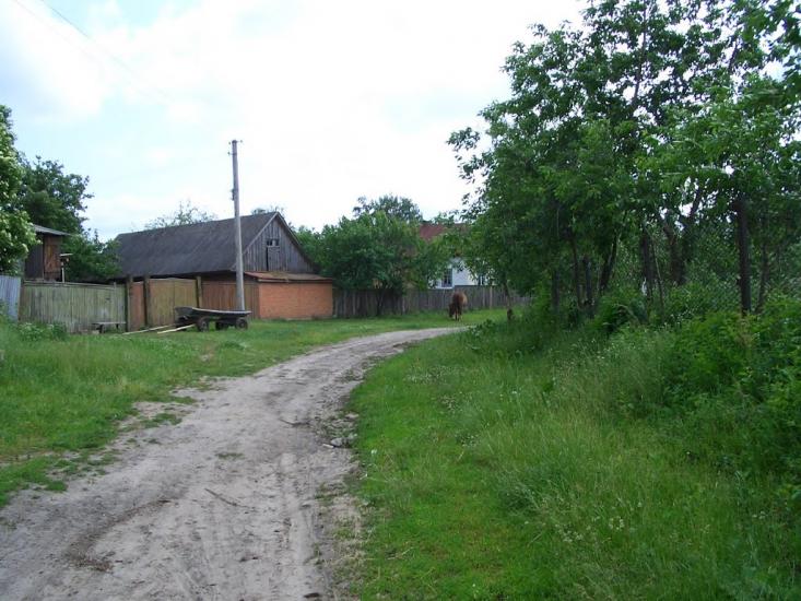 Алтинівка з panoramio.com - Алтинівка