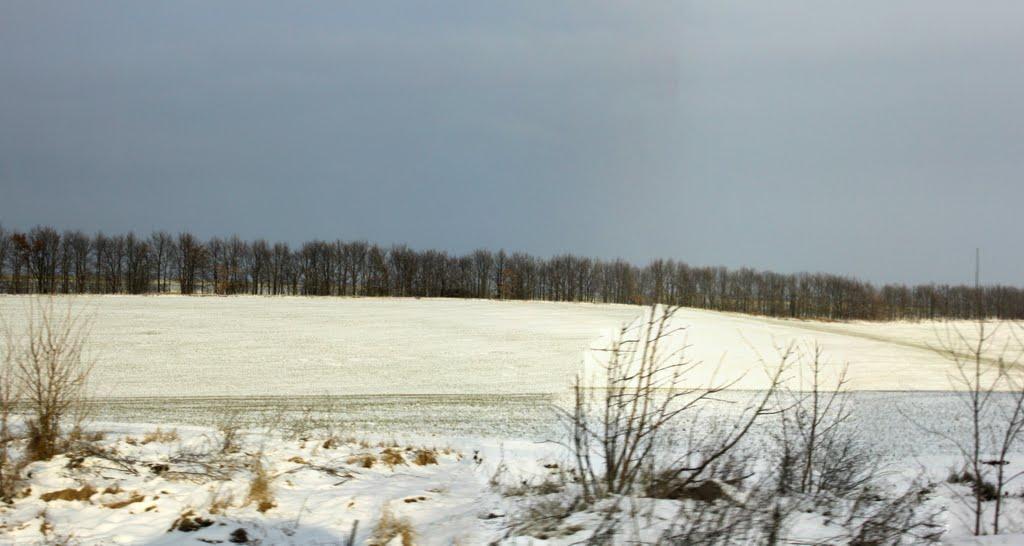 Устя з panoramio.com - Устя