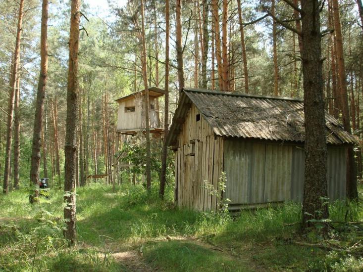 Хрипськ з panoramio.com - Khrypsk