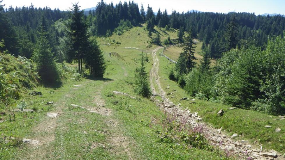 Сенечів з panoramio.com - Сенечев