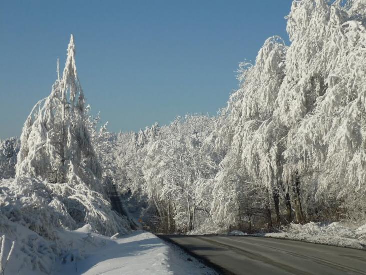 Катина з panoramio.com - Katyna