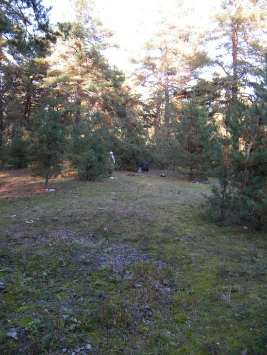 Вільхуватка з panoramio.com - Вільхуватка