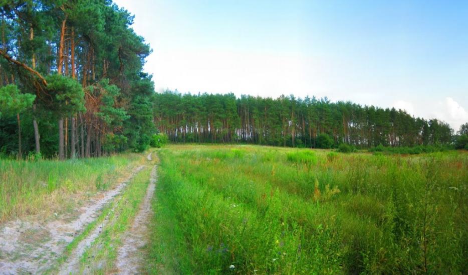 Велика Димерка з panoramio.com - Великая Дымерка