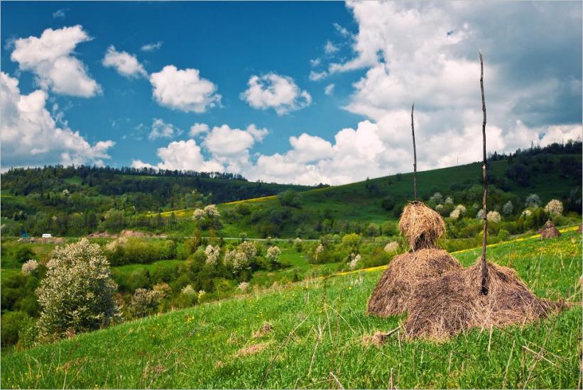 Тухолька з panoramio.com - Тухолька