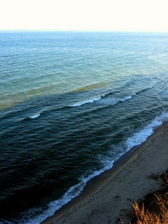 Курортне з panoramio.com - Курортне