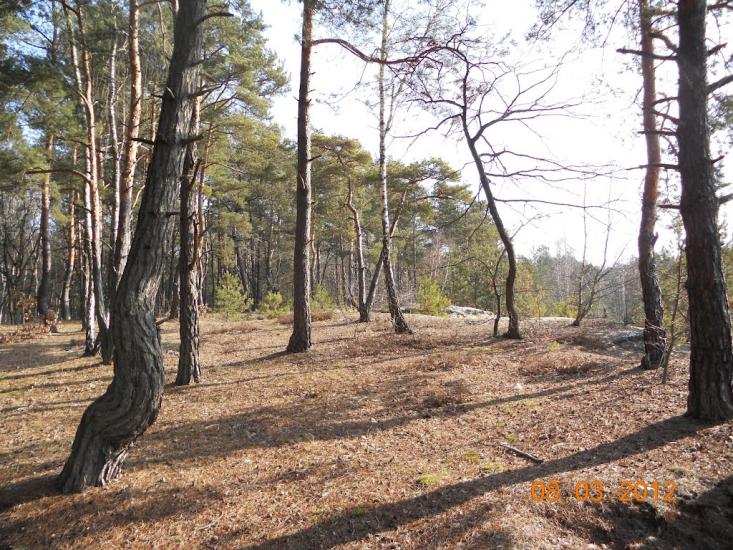 Турійськ з panoramio.com - Турийск