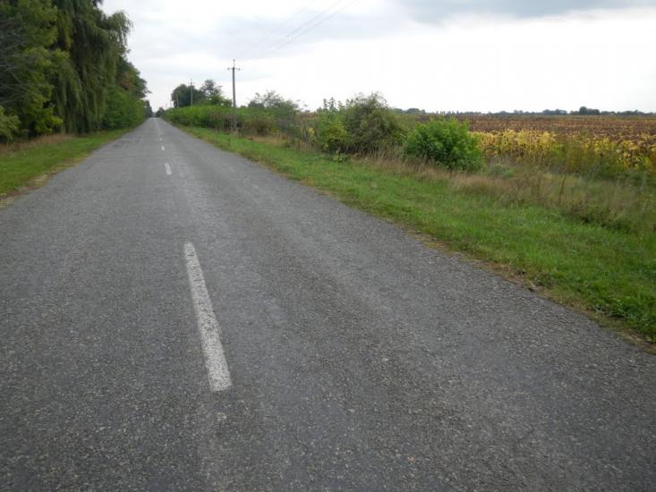 Гоголів з panoramio.com - Гоголев