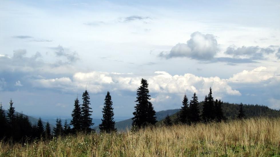 Мислівка з panoramio.com - Мысливка