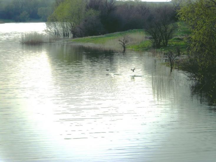 Ванчиківці з panoramio.com - Ванчиковцы
