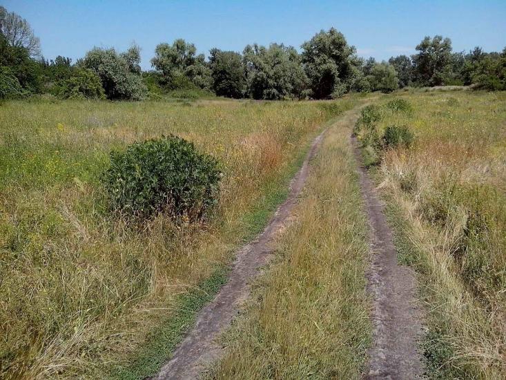 Говтва з panoramio.com - Govtva