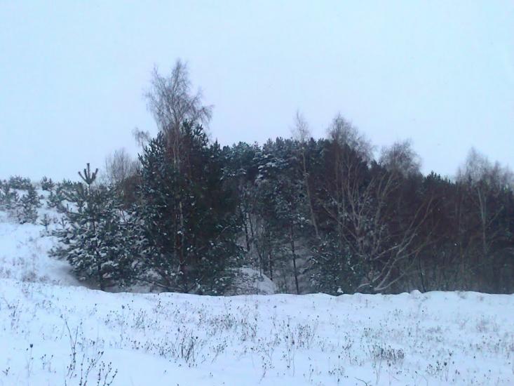 Вербовець з panoramio.com - Вербовець