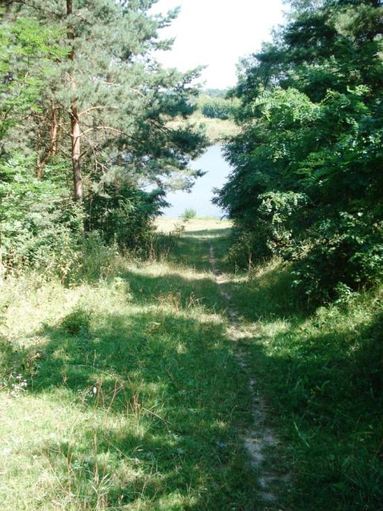 Ковалівка з panoramio.com - Ковалівка