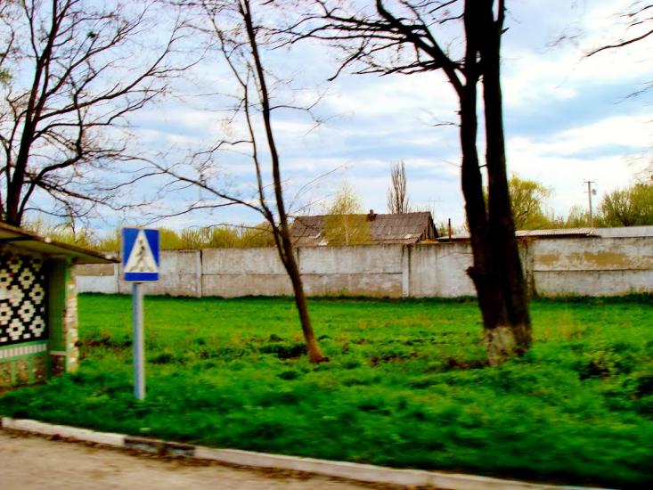 Тараща з panoramio.com - Тараща