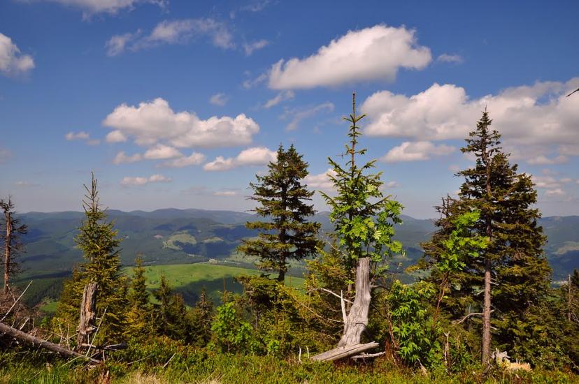 Кривопілля з panoramio.com - Kryvopillya