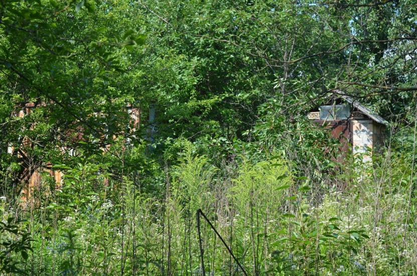 Сезенків з panoramio.com - Сезенків