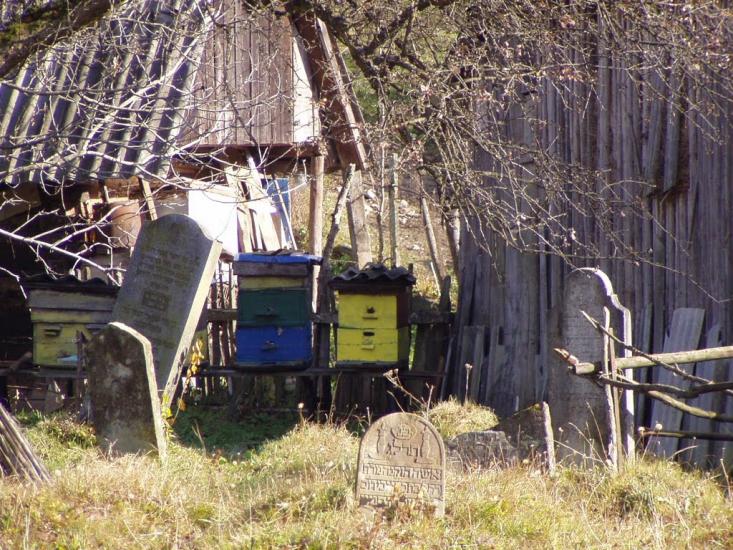 Ставне з panoramio.com - Ставное