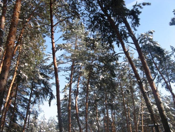 Наталине з panoramio.com - Natalyne