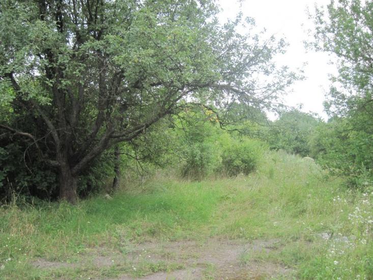 Павлиш з panoramio.com - Павлиш