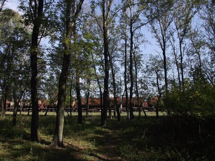 Пантелеймонівка з panoramio.com - Пантелеймонівка