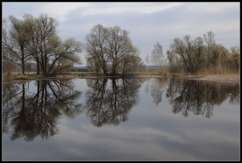 Кицівка з panoramio.com - Кицевка
