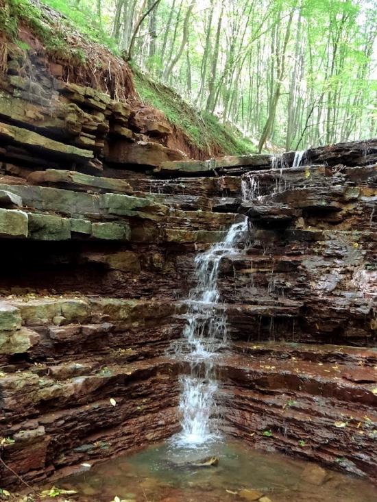 Скоморохи з panoramio.com - Скоморохи