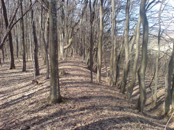 Тернова з panoramio.com - Терновая