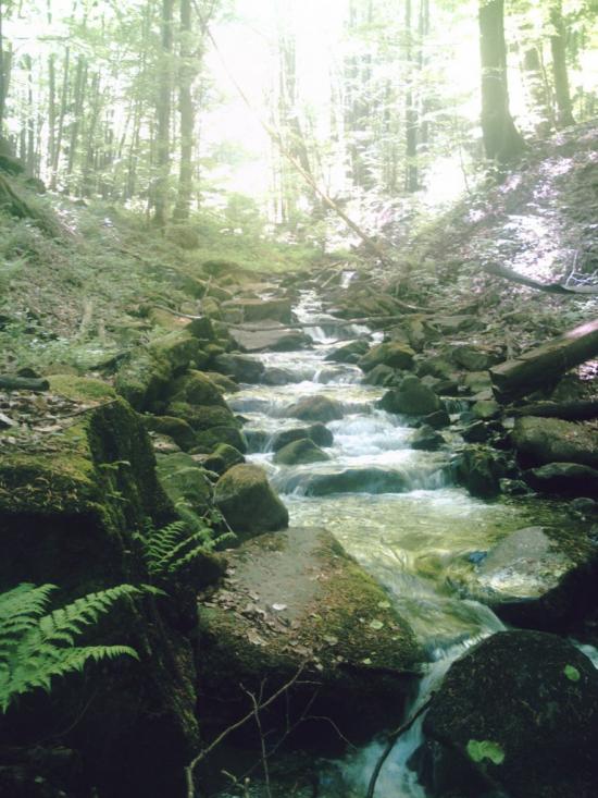 Яблунівка з panoramio.com - Яблоновка