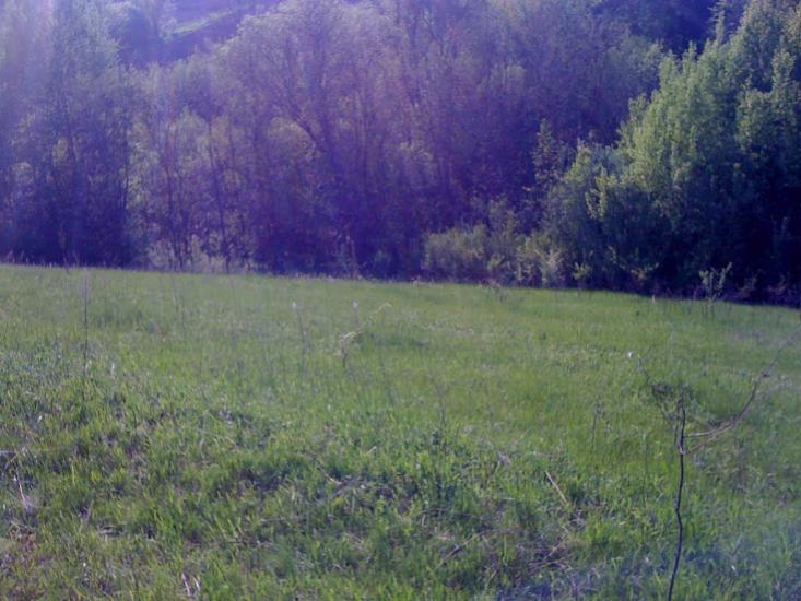 Новоархангельськ з panoramio.com - Novoarkhangelsk