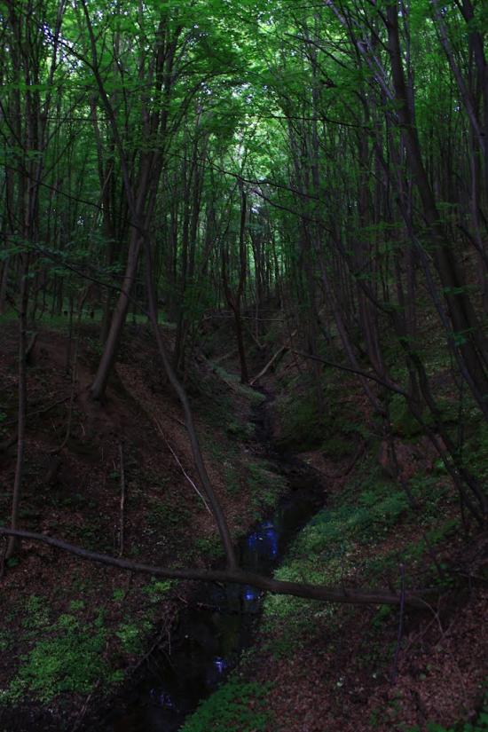 Головенка з panoramio.com - Головенка