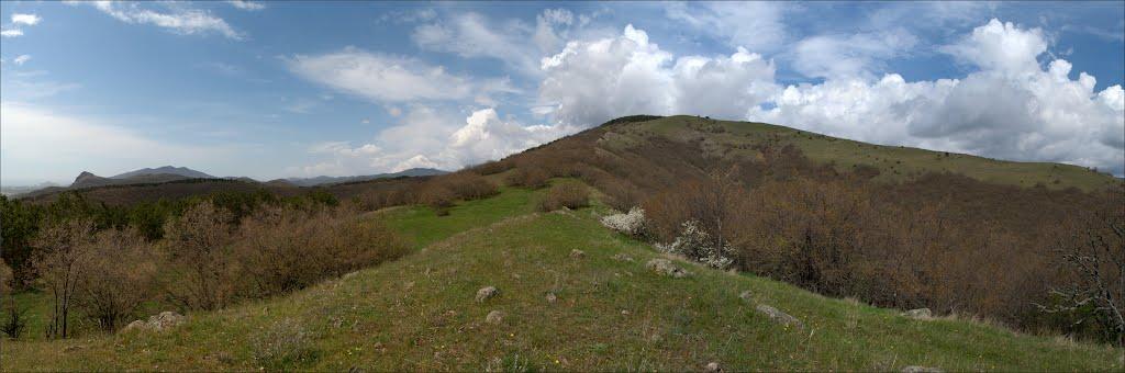 Лісне з panoramio.com - Лесное