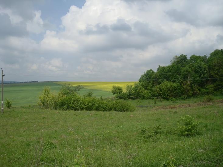 Зеленче з panoramio.com - Зеленче