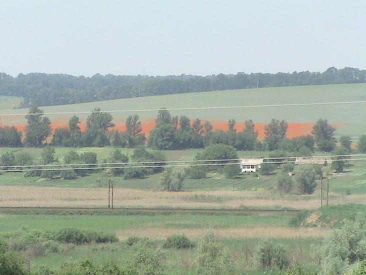 Городище з panoramio.com - Городище