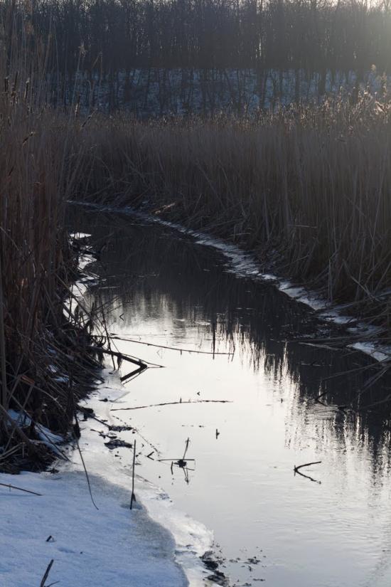 Коврай з panoramio.com - Коврай