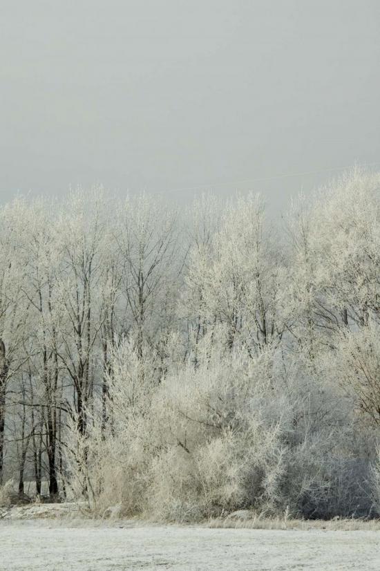 Чапаєва з panoramio.com - Чапаева