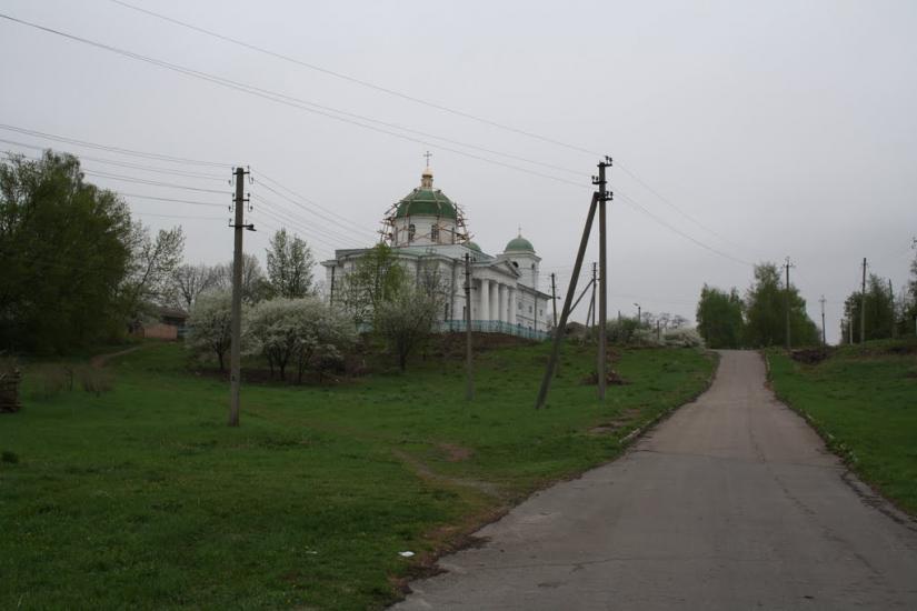 Ромашки з panoramio.com - Ромашки