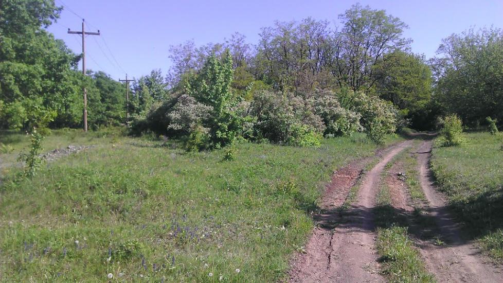 Золоте з panoramio.com - Золотое