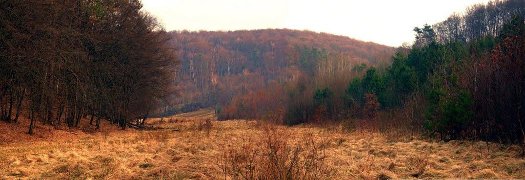 Івано-Франкове з panoramio.com - Ivano-Frankove