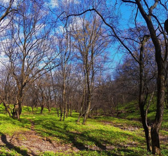 Юнокомунарівськ з panoramio.com - Юнокомунаровск