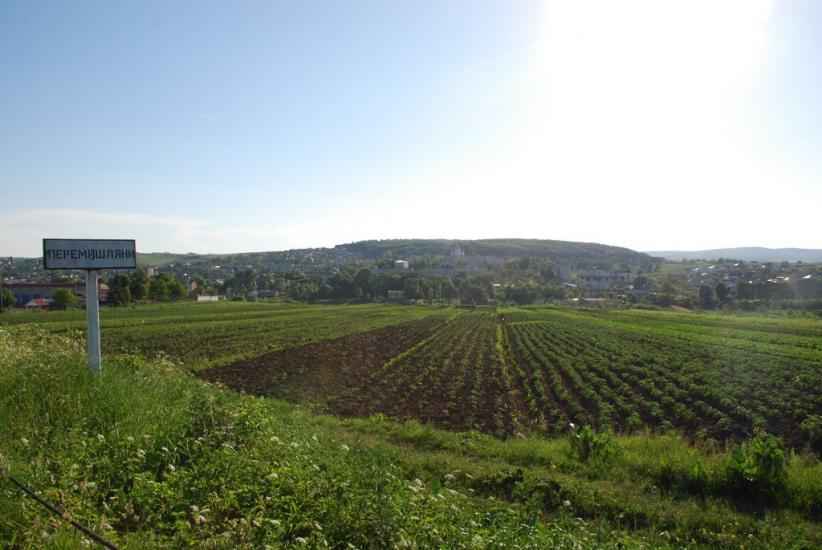 Перемишляни з panoramio.com - Перемышляны