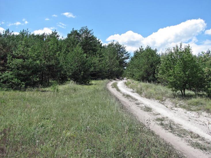 Пискунівка з panoramio.com - Pyskunivka