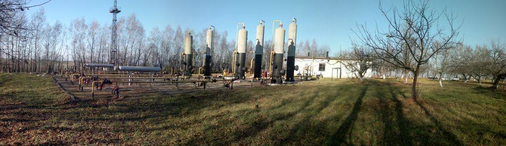 Ковиничі з panoramio.com - Ковиничі