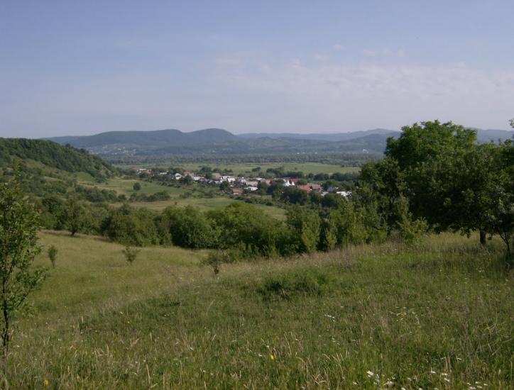 Грушово з panoramio.com - Грушово