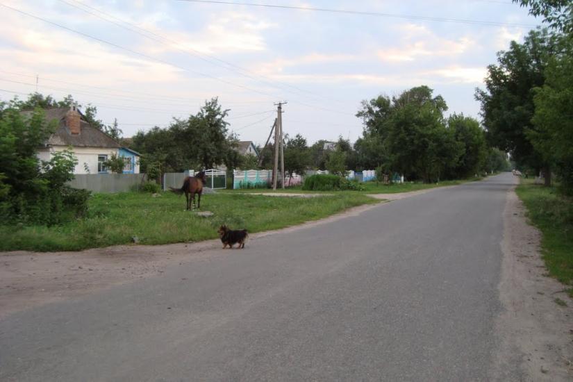 Заріччя з panoramio.com - Заріччя