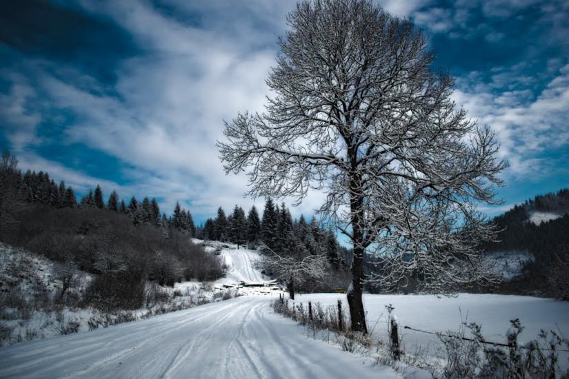 Річка з panoramio.com - Річка