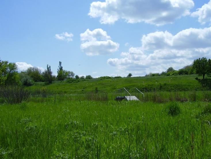 Майорка з panoramio.com - Майорка