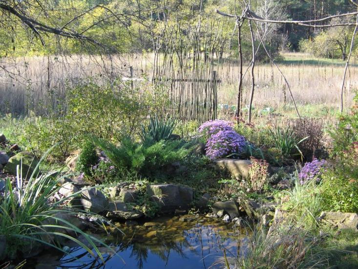 Борова з panoramio.com - Borova